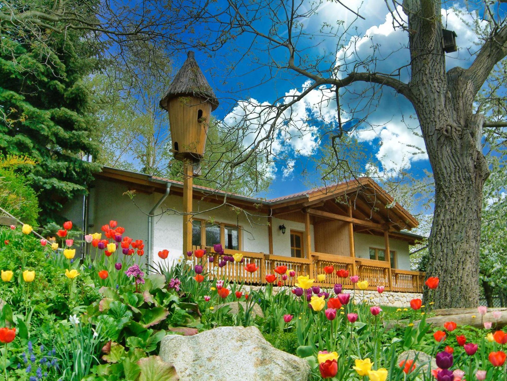 Harzer Feriengarten Quedlinburg Exterior foto